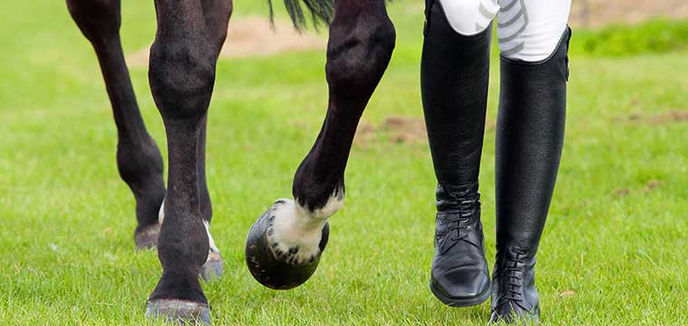 A rider in tall black leather riding boots beside a horse on grass