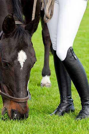 A rider in tall black riding boots standing with a grazing horse